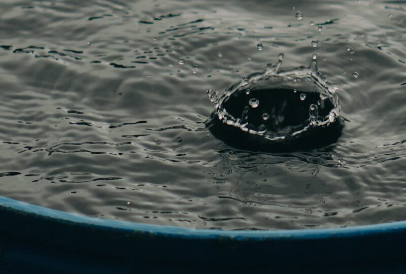Regenwasser sammeln
