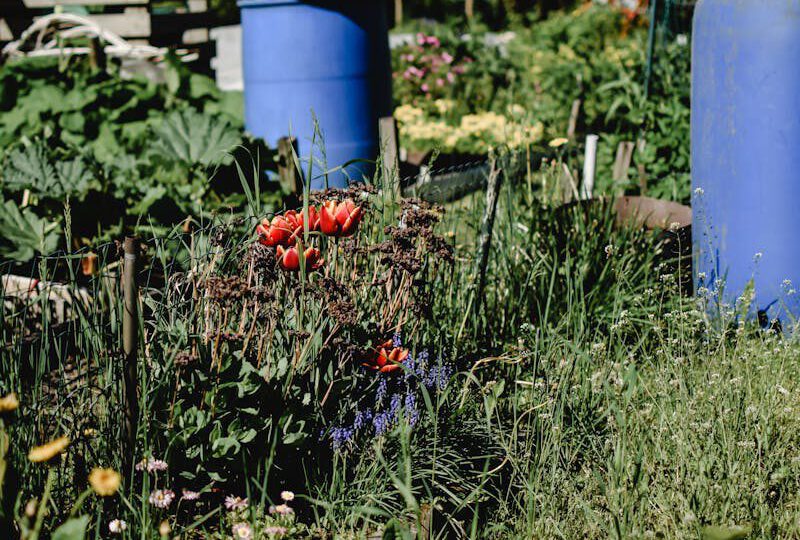 Kreislaufgarten