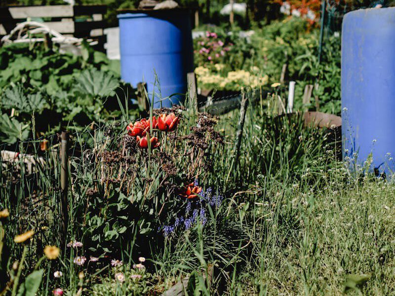 Kreislaufgarten