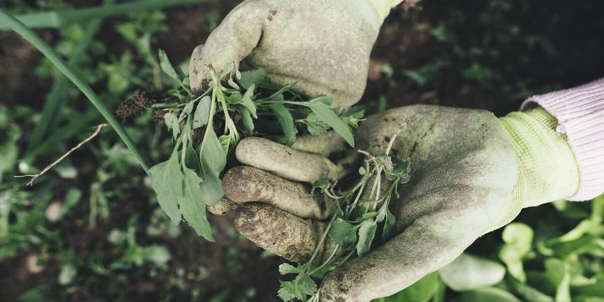 Gartenhandschuhe
