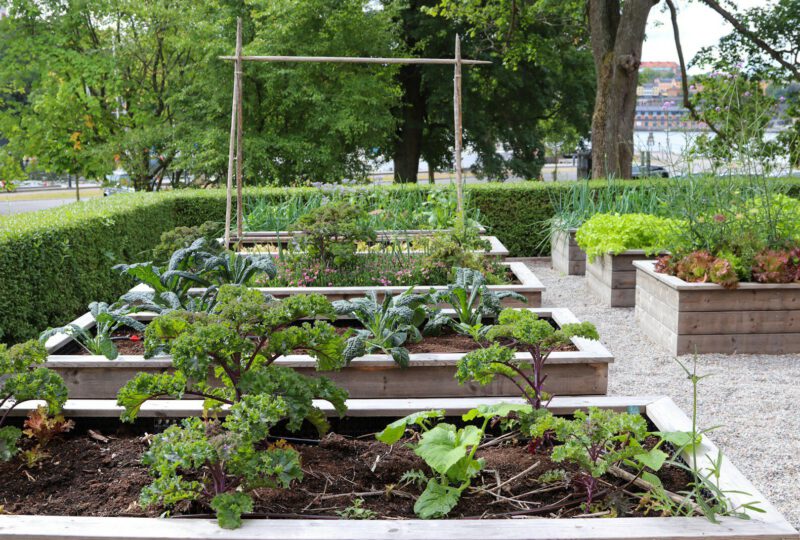 Hochbeet Erde