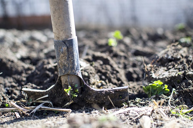 spaten_digging